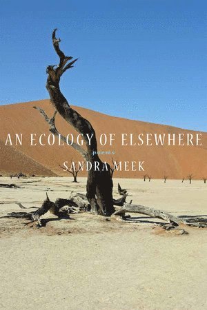 Ecology of Elsewhere