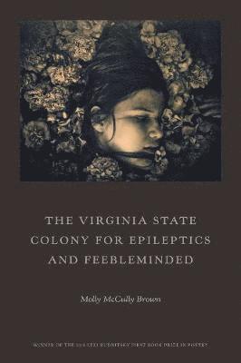 bokomslag Virginia State Colony for Epileptics and Feebleminded