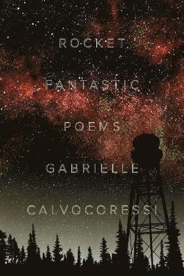 bokomslag Rocket Fantastic: Poems