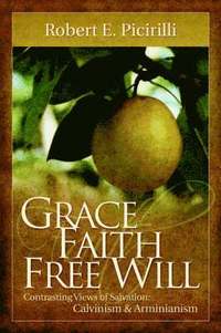 bokomslag Grace, Faith, Free Will