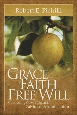 bokomslag Grace, Faith, Free Will