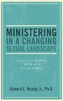 bokomslag Ministering in a Changing Sexual Landscape