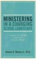 bokomslag Ministering in a Changing Sexual Landscape