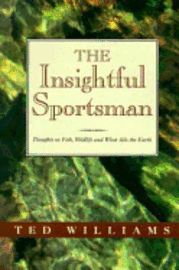 bokomslag The Insightful Sportsman