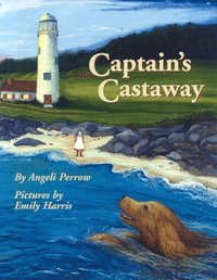 bokomslag Captain's Castaway