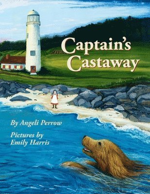 bokomslag Captain's Castaway