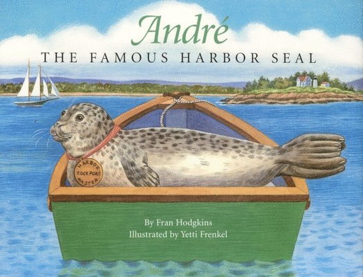 Andre the Famous Harbor Seal 1