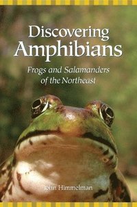 bokomslag Discovering Amphibians