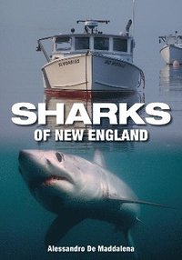bokomslag Sharks of New England