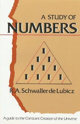 A Study of Numbers 1