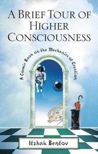 bokomslag Brief tour of higher consciousness - a cosmic book on the mechanics of crea