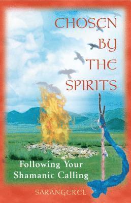 bokomslag Chosen by the Spirit