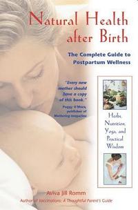 bokomslag Natural Healing After Birth