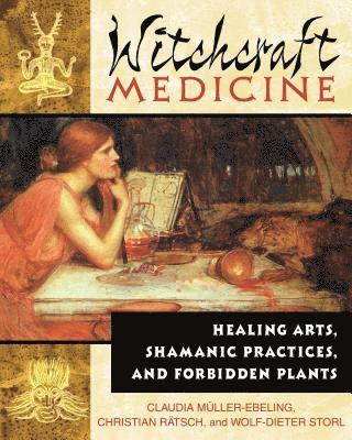 bokomslag Witchcraft Medicine