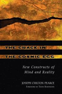 bokomslag The Crack in the Cosmic Egg