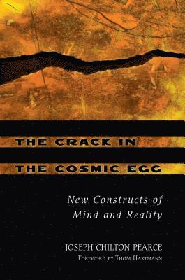 bokomslag Crack in the Cosmic Egg