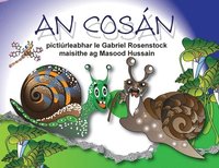 bokomslag An Cosán