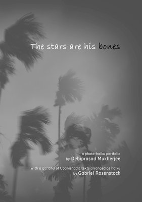 Gabriel Rosenstock - Stars are His Bones, Häftad
