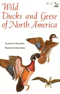 bokomslag Wild Ducks And Geese Of North America