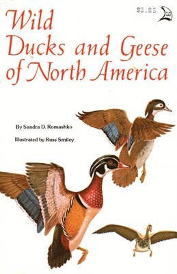 bokomslag Wild Ducks And Geese Of North America