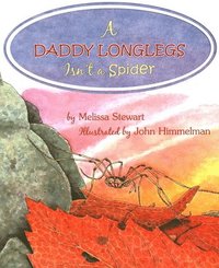 bokomslag Daddy Longlegs Isn'T A Spider