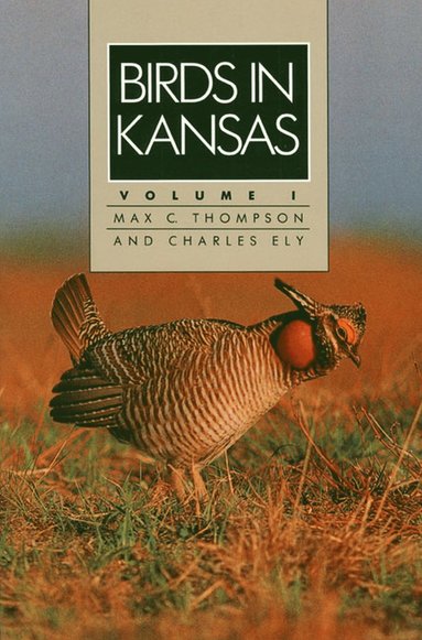 bokomslag Birds in Kansas