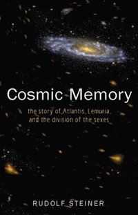 bokomslag Cosmic Memory