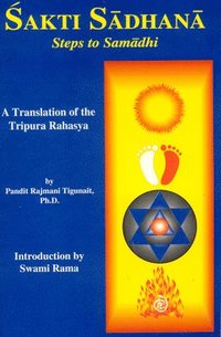bokomslag Sakti Sadhana