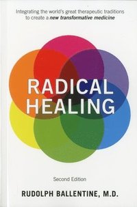 bokomslag Radical Healing