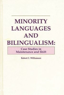 bokomslag Minority Languages and Bilingualism