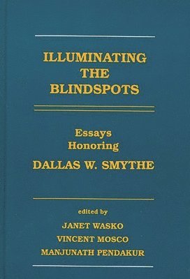 bokomslag Illuminating the Blindspots
