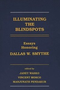 bokomslag Illuminating the Blindspots