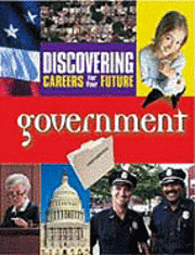 bokomslag Government