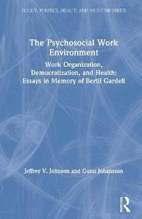 bokomslag The Psychosocial Work Environment