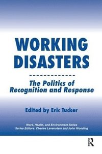bokomslag Working Disasters