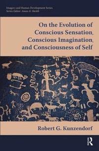bokomslag On the Evolution of Conscious Sensation, Conscious Imagination, and Consciousness of Self