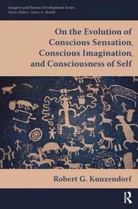 bokomslag On the Evolution of Conscious Sensation, Conscious Imagination, and Consciousness of Self