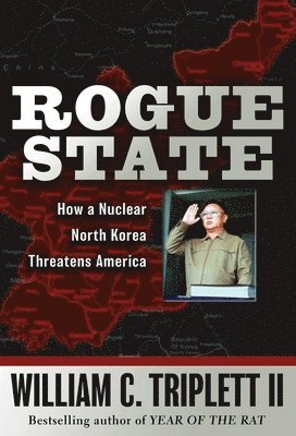 bokomslag Rogue State