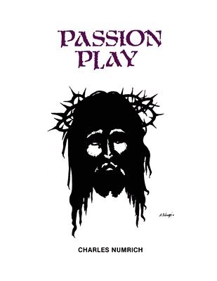 bokomslag Passion Play