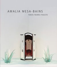 bokomslag Amalia Mesa-Bains