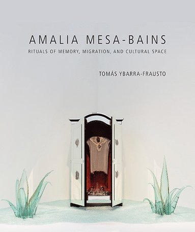 bokomslag Amalia Mesa-Bains