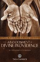 bokomslag Abandonment to Divine Providence