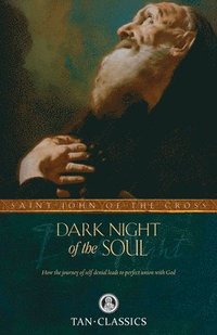 bokomslag Dark Night of the Soul