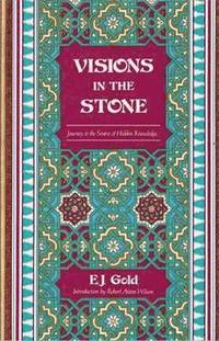 bokomslag Visions in the Stone
