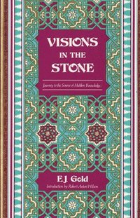 bokomslag Visions in the Stone