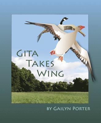 Gita Takes Wing 1