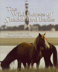 bokomslag Wild Horses of Shackleford Banks