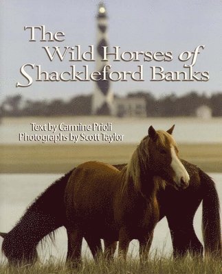 Carmine Prioli, Scott Taylor - Prioli, C: Wild Horses of Shackleford Banks, Häftad