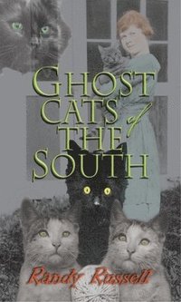bokomslag Ghost Cats of the South
