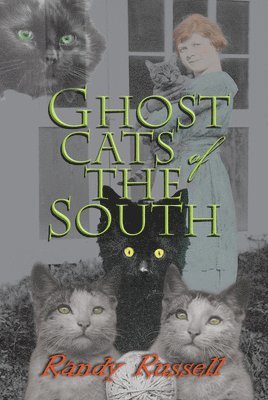 bokomslag Ghost Cats of the South